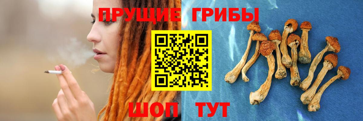 Галлюциногенные грибы мухоморы Скопин