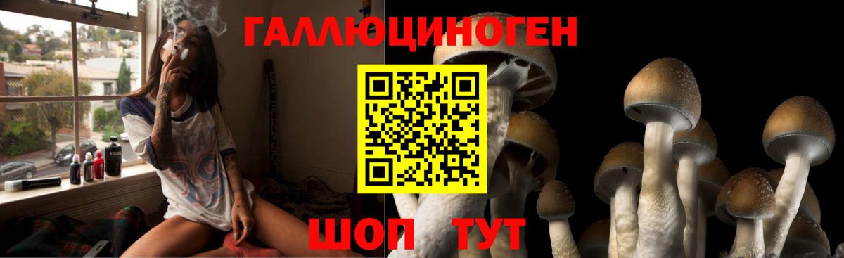 Псилоцибиновые грибы мицелий  Псилоцибиновые грибы Psilocybine cubensis  Вход с VPN  Скопин 